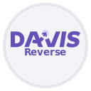 SKAX DAVIS Code Analyzer